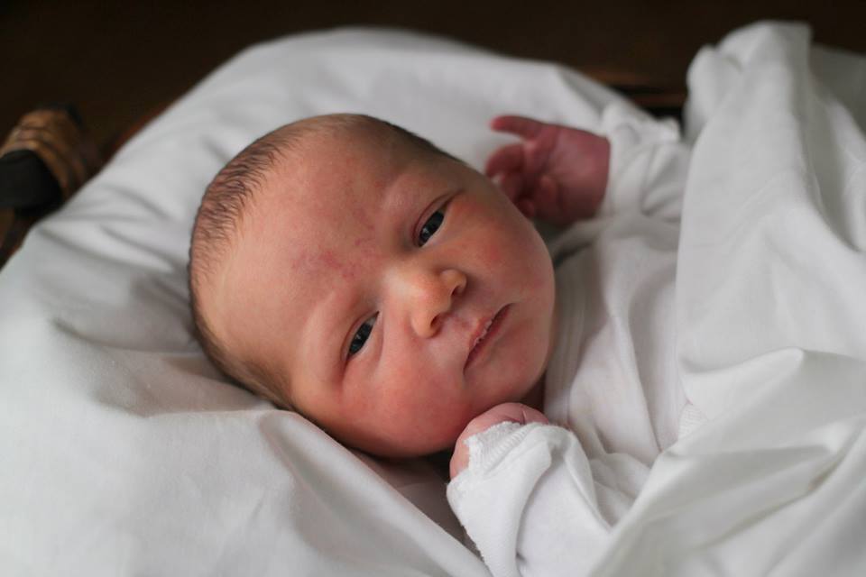 Hudson Forrester Mallard